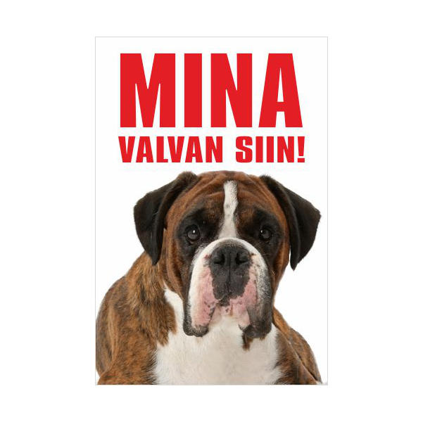 Koera Silt Kleepsupood Koera Silt Kleepsupood